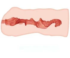 CRAZY BULL LINDA VAGINA MASTURBATOR 13,7 CM