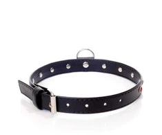 Fetish B Series Bdsm bondage dominantinė apykaklė 2cm, raudona oda