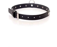 Fetish B Series Bdsm bondage dominantinė apykaklė 2cm odinė sidabrinė