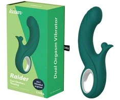 Kissen Raider