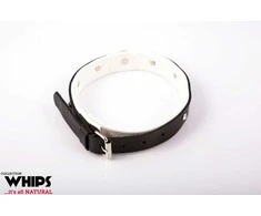 Whips Collections Apkaustai - Moteriška apykaklė, vidutinė, balta