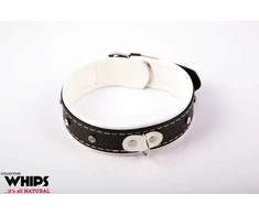 Whips Collections Apkaustai - Moteriška apykaklė 4 cm, balta