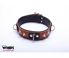 Whips Collections Bindings-WHIPS vergas antkaklis su pavadeliu, konjakas
