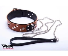 Whips Collections Bindings-WHIPS vyriška antkaklis su pavadėliu, konjakas