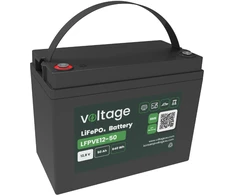 Akumuliatorius LiFePO4 Voltage 12,8 V 50 Ah LFPVE12-50 Bluetooth (tarnavimo laikas ~5000 ciklų)