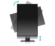 Monitorius IIYAMA XUB2491H-B1 24 colių IPS FHD 100Hz 300cd/m2 4ms HDMI DP 15cm Aukštis Adj. Stovi