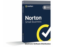 Symantec NORTON SMALL BUSINESS 2.0 250GB PL 6D12M ESD diskas