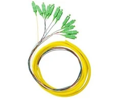 QOLTEC 54362 Qoltec Optic Pigtail 12x SC/APC | SM | 9/125 | 0,9 mm | G657A | 2 m