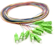 QOLTEC 54362 Qoltec Optic Pigtail 12x SC/APC | SM | 9/125 | 0,9 mm | G657A | 2 m