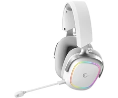 Ausinės su mikrofonu Rampage RETSU Baltos/Pilkos Belaidės 2.4G Bluetooth
