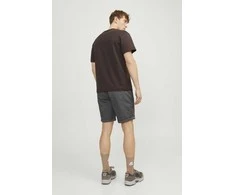 Įvairūs šortai JACK &amp;amp; JONES