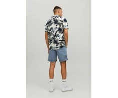 Įvairūs šortai JACK &amp;amp; JONES