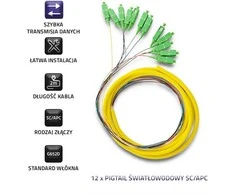 Qoltec 12 x Pigtail optinio pluošto kabelis SC/APC 2m