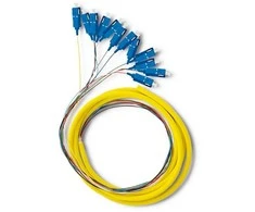 Qoltec 12 x SC/UPC šviesolaidinė košė | Vienmodis | G657A2 | 2 m