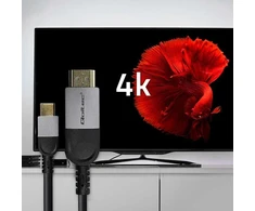 HDMI laidas Qoltec USB-C ir HDMI didelės spartos 4K 60 Hz 32AWG 2 m adapterio kabelis