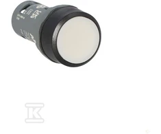 ABB CP1-10W-10-ĮGALVOTAS MYGTUKAS 1 NĖRA BALTO