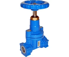 Aeon VANDENS VARTAI DN32 PN16 GW11/4" SU RATAIS