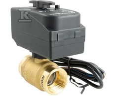 Afriso Rutulinis vožtuvas su pavara BEV 2 krypčių DN25 (9021300)