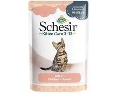 SCHESIR Vištienos filė želė - šlapias maistas kačiukams - 85g