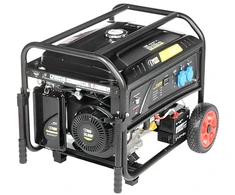 Delta Dynamo GENERATORIAUS DY-6020/PRO 5000 W Dinamo