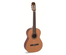 Alvaro Guitars No.20 - klasikinė gitara