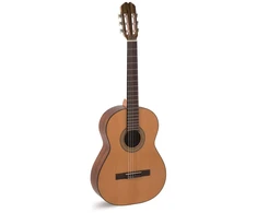 Alvaro Guitars No.25 - klasikinė gitara
