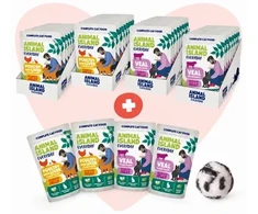 ANIMAL ISLAND Love Box Fileciki w galarecie mix smaków 48szt + zabawka