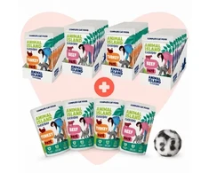ANIMAL ISLAND Love Box Pate mix smaków 48szt + zabawka