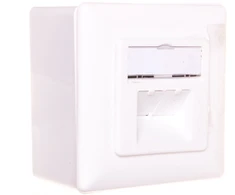 Assmann DN-9006-N Paviršinio montavimo duomenų perdavimo lizdas 2x RJ45 STP kat. 6 DN-9006-N