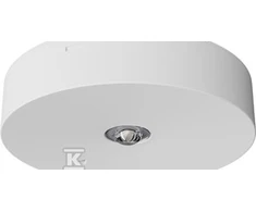 AWEX avarinis šviestuvas AX3N IP20 LED 1W (opt. road) 1h vienos paskirties baltas AX3N/R/1W/B/1/SE/X/WH