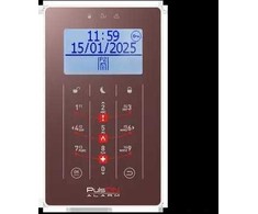 BCS PULSON FRONT LCD/S BRO