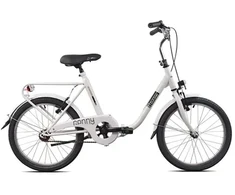 Bicycle SULANKSTOMAS DVIRAČIS 20 PLIENINIS