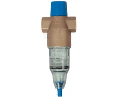 BWT Filtras su rankiniu atbulinio plovimo PROTECTOR BW 1 "810417