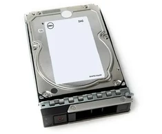 DELL 161-BCJX kietasis diskas 12 TB 7200 RPM 3.5" NL-SAS