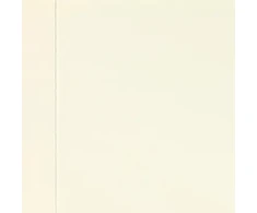 DUMALOCK CREAM Baltas GLOSS 1.2X0.25M