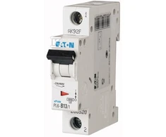 Eaton PL6-C13/1 SROVĖS PERTRAUKIS 6KA