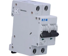 Eaton PL6-C2/2 SROVĖS PERTRAUKIS 6KA