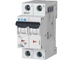 Eaton PL6-D6/2 SROVĖS PERTRAUKIS 6KA