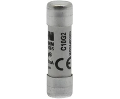 Eaton WKŁ.CYL.10X38 2A GG 500V AC
