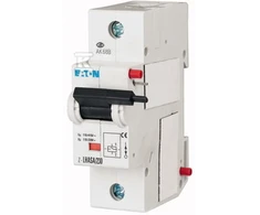 Eaton (248442)