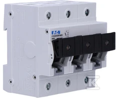 Eaton Z-SLS / CEK16 / 3 - 248243