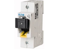 Eaton Z-SLS/CEK25/1 JUNGIKLIŲ ATJUNGIMO PAGRINDAS