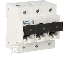 Eaton Z-SLS / CEK50 / 3 - 248246