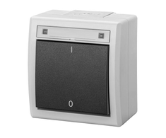 Elektro Plast Nasielsk 5003-10 AQUANT 2K paviršinio montavimo jungiklis, 2 polių, IP55, pilkas 5003-10