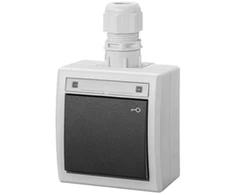 Elektro Plast Nasielsk 5007-65 AQUANT 2K ant paviršiaus montuojamas jungiklis, valdomas raktu, IP65, pilkas 5007-65