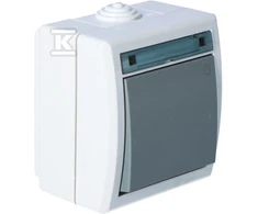 Elektro Plast Nasielsk LIGHT JUNGTIS N/T IP55 AQUANT BALL