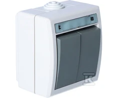 Jungiklis ELEKTRO-PLAST AQUANT, 2 klav., IP55