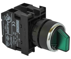 Emas 3 padėties stūmiklis 2R stabilus apšviestas 100- 250V žalia (T0- B101SL30Y)