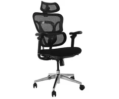 Equip ergonominė biuro kėdė + galvos atrama / porankiai + SFS juoda Lite mažmeninė prekyba