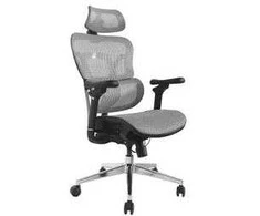 Equip Ergonomiška biuro kėdė su galvūgaliu ir porankiais, gr lite, mažmeninė prekyba